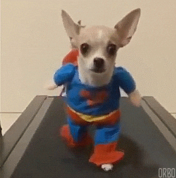 Saiba como manter seus cabelos hidratados em casa!